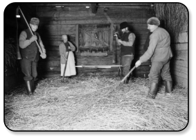 Tr�skning med slaga